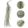 Decoratieve bloemen Landschapsarchitectuur Gedroogde Lichen Micro-Landscape Decor Moss bewaarde Fairy Garden Plants Prop