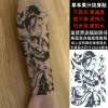 Татуировки травы сакура искусство подделка для женщины для женщины