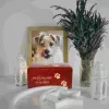 Urns en bois KeepSake Urn Box Pet Memorial Urn Dog Chat Ashes Box Box Pet Paw Crémation funéraire personnalisée Urnes Chiens de chat