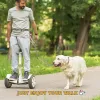 Trela 2m 2m de cão retrátil Hands Hands Free jogging caminhando coleira para cães grandes correndo cães cães de alta qualidade de cães acessórios para cães