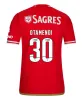 23 24 Version des fans Version Benfica Soccer Jerseys Seferovic Waldschmidt Pizzi Rafa G.Ramos 2023 2024 Home Away Men Kids Kit Football Shirts Otamendi Kokcu di Maria 888