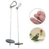 Other Bird Supplies 2024 High Quality Pet Parrots Birds Food Holder Support Stainless Steel Fruit Spear Stick Vegetable Skewer