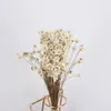 Dekorativa blommor 30 st/blommahuvud Cirka 0,6-1 cm liten vit stjärna naturtorkad mini daisy bukett för smycken harts torr dekorati