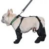 Chaussures Chaussures de chien imperméables Bottes de chien réglables Chaussures de compagnie de compagnie de compagnie pour la marche extérieure Soft French Bulldog Shoes Pet Paws Protector