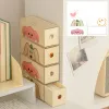 Bins Desktop Storage Box Hand Ledger Cosmetics Cabinet Dormitory Design Tipo Tipo di cartoleria per studenti