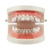 Grills Gold banhado 18k dentes de tigre oco completo dentes de hip hop para homens e mulheres Vampire Dentes Acessórios de Halloween