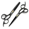 Shears Japonia 6.0 "cal Kashos Gold Titanium Hairdressing Schissors Golden Hair Nussor