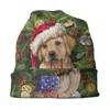 Boinas Golden Retriever Feliz Christmas Bonnet Chapé