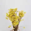 Fleurs décoratives 30pcs / tête de fleur d'environ 0,6-1cm Bouquet de marguerite séchée naturelle de 0,6-1cm