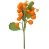 Decorazione della festa corda di frutta artificiale modello realistico ramo arancione realistico