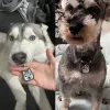 Taggar Personliga metall hundtaggar original ikon taggar för hundar valpar söta husky chihuahua bulldog husdjur produkter hundtillbehör