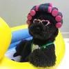 Sombrero de vestimenta de perro Small Teddy Bear Puppet Corto Cross Cross Cross Tocado