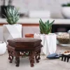 Trays Storage Rack Wooden Plant Holder Pots Stand For Home Flower Potted Bases Riser Fish Bowl Indoor Bonsai Shelf