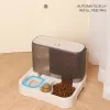 Feeders Large Capacity Cat Automatic Feeder Water Dispenser Wet and Dry Separation Dog Food Container Drinking Water Bowl Pet Supplies