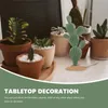 Fiori decorativi 3 peps simulato cactus ornament microlandscape statue decorazioni statue fake adorn