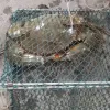 Accessoires Aluminium gekleidet Stahl Krabbennetzfalle 35x 35 cm Fischerei Net Outdoor Net