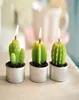 Hela sällsynta minikaktusljus Växtdekor Hembordsträdgård 6pcslot kawaii dekoration fabriksexpert design kvali7237882