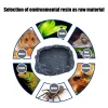 Dekor Crawler Pet Feeder Bowl Basin Harz ungiftiger Lebensmittel Wassertopf Reptil