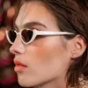 Lunettes de soleil rétro petites lunettes de soleil à demi-cadre pour les yeux de chat pour femmes Trent rétro moderne lune