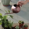 1L de aço inoxidável rega de água jardinagem em vasos de rega pequena lata com a alça para as plantas de rega Ferramenta de jardim de flores 240411