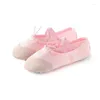 Dance Shoes Girls Kids Pointe Slippers High Quality Ballerina Practice For Ballet 5 Color Dancer Professional