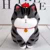 Игрушки 3050см Long Live My Emperor Cat Doll Bazaar Black Plush Toys Высококачественные каваи аниме -фаршированные подушки рождественские подарки для детей