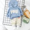 Setar Baby Boy Clothing Set Spring Autumn Fashion Cotton Hoods Tops+Pants2PCS Spädbarn Nyfödda flickor Tracksuit för nyfödd presentuppsättning