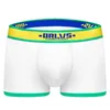 Underpants Herren Unterwäsche Boxer 2024 Jungen Feste Farbbrief Printed Shorts Panties Cotton Ondergoed Mannen Sexy