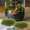 Fleurs décoratives 6 PCS MOSS BALL IMITÉ MOSSU DÉCOR ARTIFICIAL STONES ROCKS MICRO OFFICE FAUX