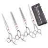 Forbici per cani da cucina scissors Dragon viola 8 "Giappone 440c kit di forbici per animali domestici Shears tali forbici curve curve dropshipping z3015