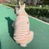 Coletes miflame de verão suéter de cachorro coreano versão filho