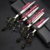 Shears Retro Dressing Scissors da 6/7 pollici a taglio piatto Adattamento senza cucitura per capelli parrucchiere Particolo per taglio di capelli Special Tacut Scissors Collezione