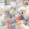Imbracarsi di cani Collari stilista stampare Nylon Nylon Dog Cabla Breakaway Release Quick Release Vestinato Wieling Lead Regolable Regolabile
