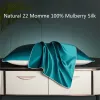 Pillow Natural 22 Momme 100% Mulberry Silk satin multicolor pillowcases pillow cases Envelope Closure standard queen king 48*74cm