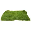 Fleurs décoratives Moss Green Decor Decor Sand Table Turf Couptable Décorer l'alimentation en plastique pour la décoration du modèle