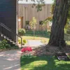 Decorazioni da giardino acrilico segnale di funghi fiore tali emblemi di terreni da esterno