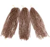 LANS合成情熱かぎ針編み髪の拡張アフロキンキーカーリー18インチの長さのボヘミアンブレード80GPCS LS069423037