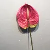 Fleurs décoratives 1pc 3D Impression Anthurium Fleur Real Touch Artificial Lotus Fake Plant for Home Decoration Accessoires