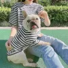 Vests Miflame Summer Dog Sweater Korean Version Puppy Parentchild Wear Striped Cotton Tshirt Small Dog Cat Twolegged Clothes Bulldog