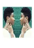 Femmes Brésilien Hair African Ameri Short Curly Wigs Simulation Human Human Black Black Curly Wig For Lames5995308