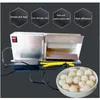 Electric Quail Egg Peeler Machine Semi Automatic Sheller Stainless Steel Kitchen Shops Home Use