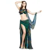Stage Wear Professional Belly Dance Costumes Sexy Printed Dancing Bra Skirt Waist Chain Armbands Dress