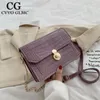 Shoulder Bags Cvvo Glmc 2024 Female Bag Stone Pattern Lady Chain Messenger Fashion Mobile Small Square