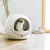 Lådor automatisk smart kattkull