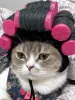 Accessoires drôle chat chapeau mignon raffiné pour animaux de compagnie chiot chaton cool chapeau de fête de séance photo