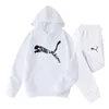 Men's and Women's Hooded Sweatshirt Two Piece Set Couple Jogging Sweatshirt Spring Street Clothing Tracksuit Sportswear Set