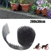 أقفاص البستنة مكافحة الشبكة Cat Cat Scat Mats Trees Skewer Prickle Spikes تمنع الكلب من حفر شبكة Cat Mesh Fence Pet Supplies