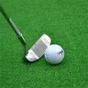 Klubbar PGM Golf Doubleside Chipper Club Rostfritt stål Huvud Mallet Rod Slipning Push Rod Chipping Clubs Golf Putter Men Outdoor Sport