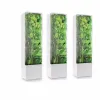 Bacs Herb Saver Premium Herb Storage Container maintient les légumes verts