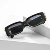 Designer Sunglasses 3313 Metal Snowflake Fashion Trend Show Modern Sunglasses for Men and Women Ins Sunglasses